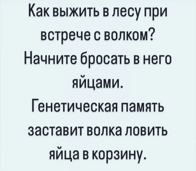 Так себе картинки 23.11.24