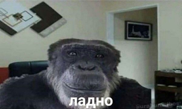 Три женщины забили до смерти мужчину за попытку познакомиться 8 марта