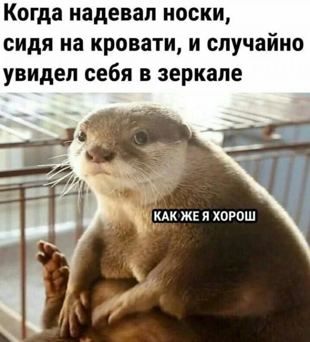 Завалялось тут случайно немного забавных картинок