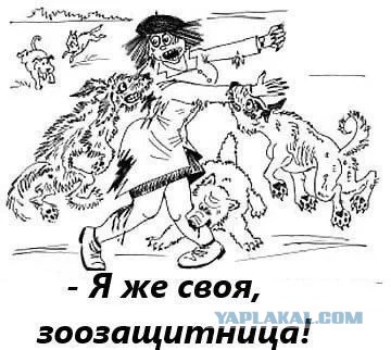 В Новосибирске более 200 человек пришли на митинг против эвтаназии животных.