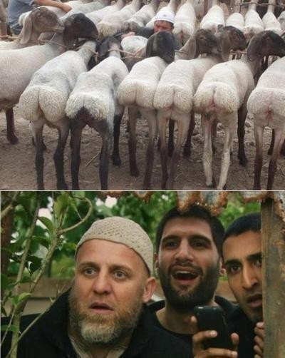 У кого сегодня будет секс?
