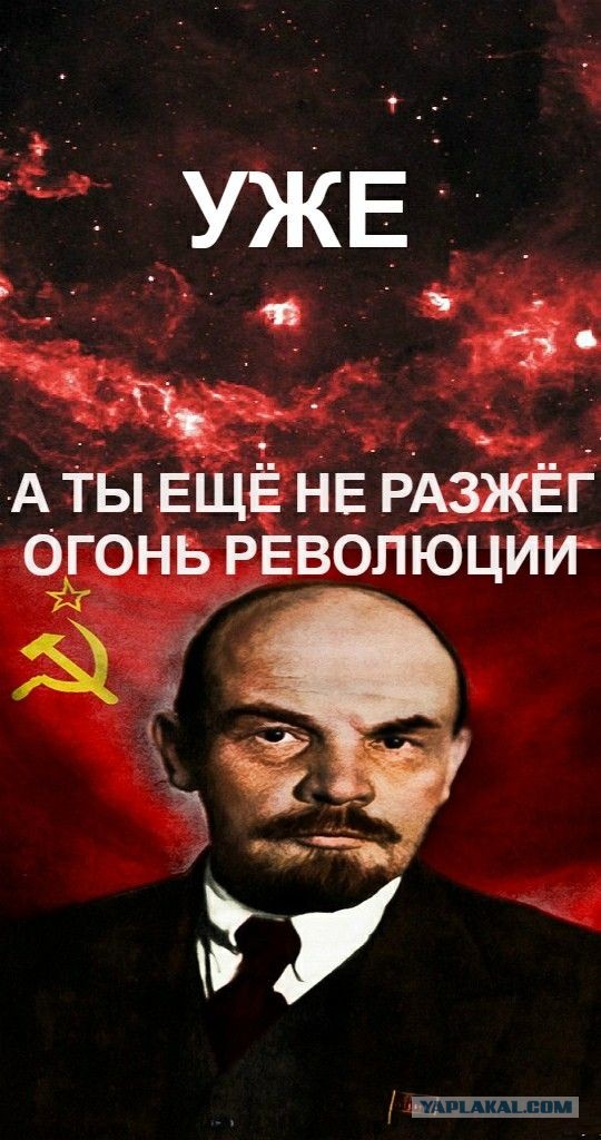 А какие у вас обои на рабочем столе телефона?