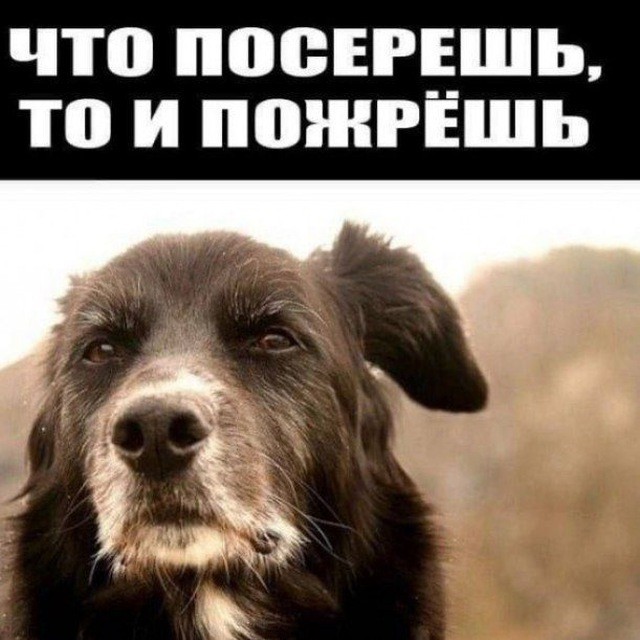 Я устал