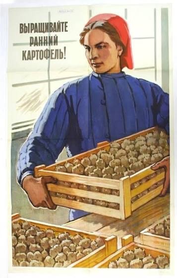 Про картошку