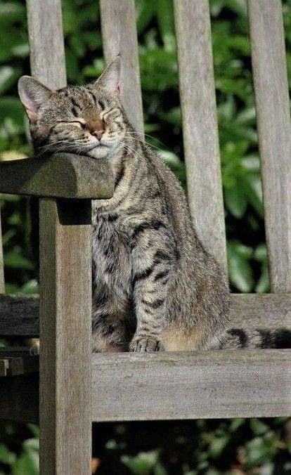 Прикольные и просто красивые картинки 18.11.2025