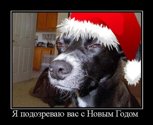 Собакочетверг