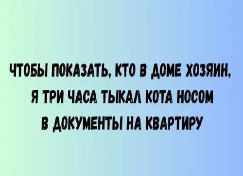 Картиночки, баянчики 29 января