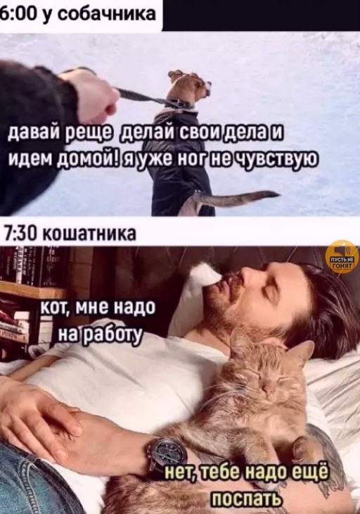 Прикольные и просто красивые картинки 06.02.2026