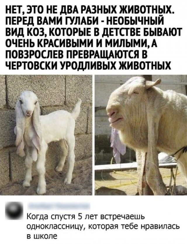 Мудрые слова опытного инвестора