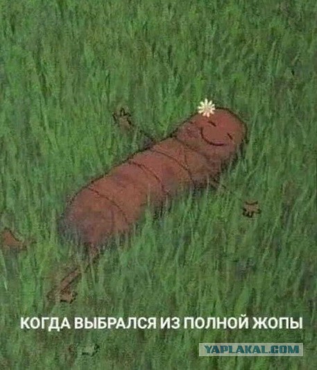Сознание как квантовый процесс: ученые снова спорят о природе разума.