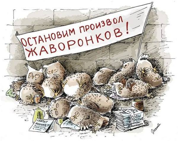 А вы сова или жаворонок?⁠⁠