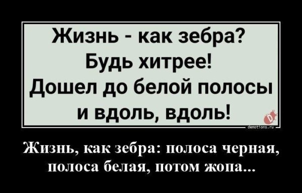 Так себе картинки 29.07.26