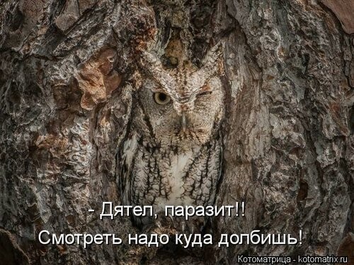 Мда уж....