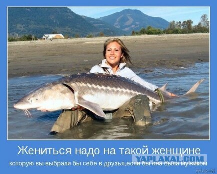 Неправильная жена
