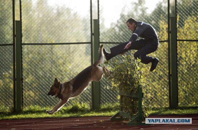 Белорусские спецвойска.