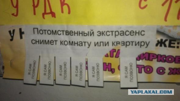 Смешные картинки