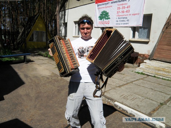 Погладь кота ёпта