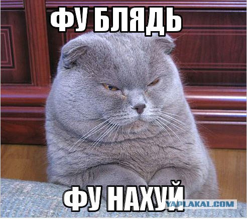 Отборные ТП