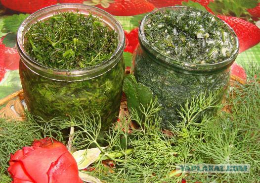 Плюсомет со шпалометом