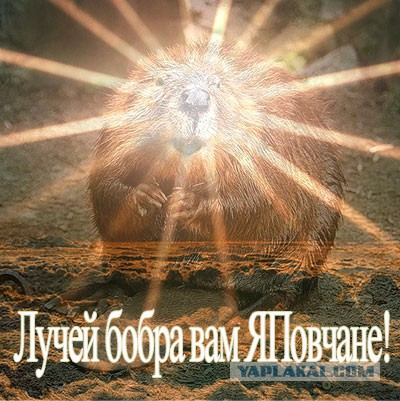 Крепитесь, люди!