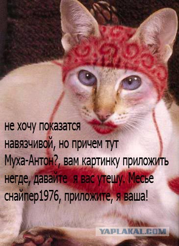 Висит объявление, колышется ветром...