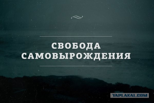 Орфография. Накипело!