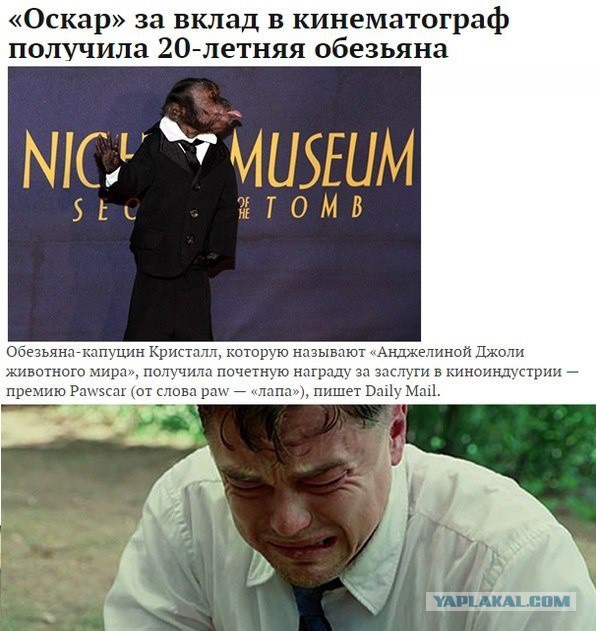 комментарии из соц сетей.