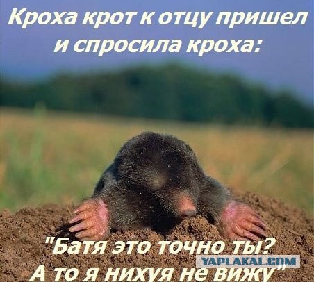 Смешные комментарии из социальных сетей 01.05.15