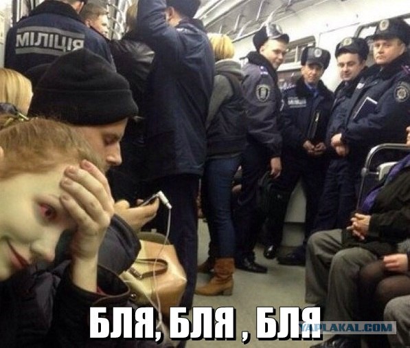 Картинки 12.05.2015