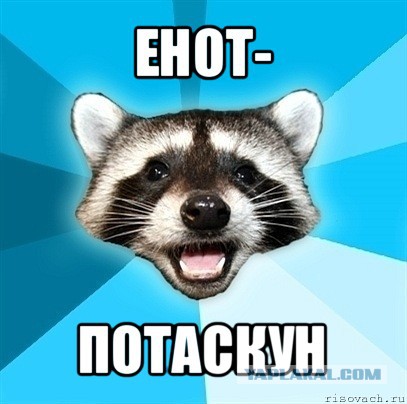 Енот Маша моет посуду