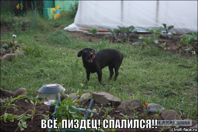 Так себе мангальчик