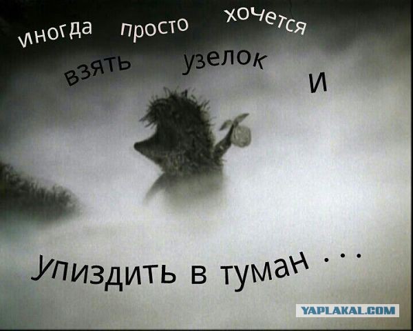 Чиновницы правительства Ульяновской области