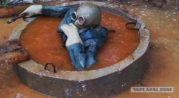 Приветы с рабочих мест ЯПовчан