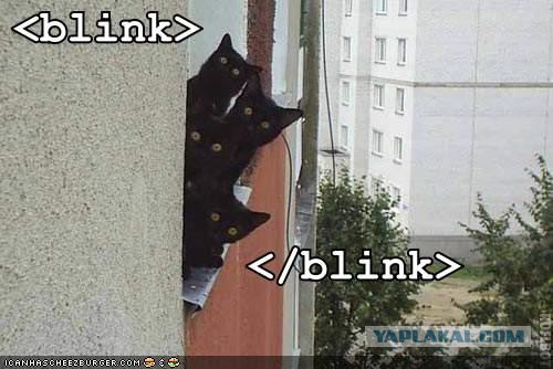 Котовторник