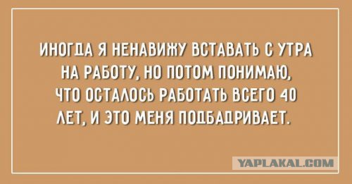 Цитаты из нашей жизни