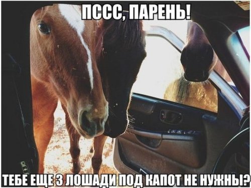 Картинки из сети