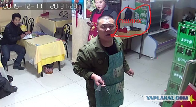 За что я люблю китайцев