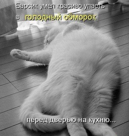 Картинки и демотиваторы