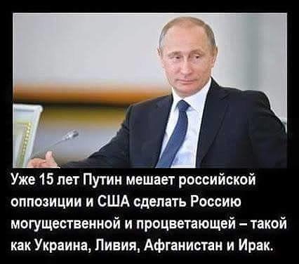 Сбежали в Украину, сердешные..