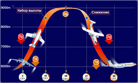 Что будет, если отправить стюардессу в невесомость?!