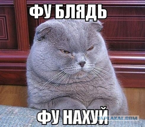 Запоздалое поздравление с новым годом