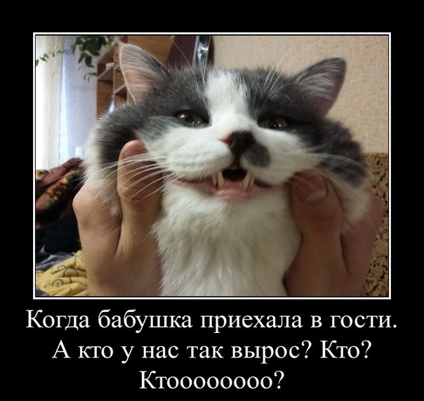 Подборка  картинок