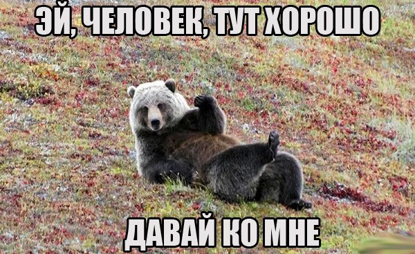 Божьи твари