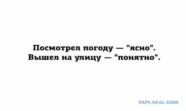 Подборка смешных картинок