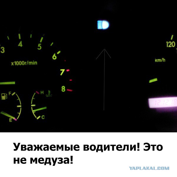 Весёлые картинки