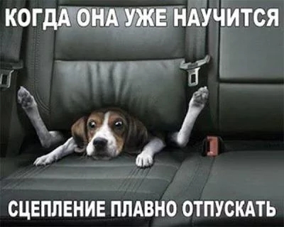 Немного картинок и гифок для пятничного настроения.