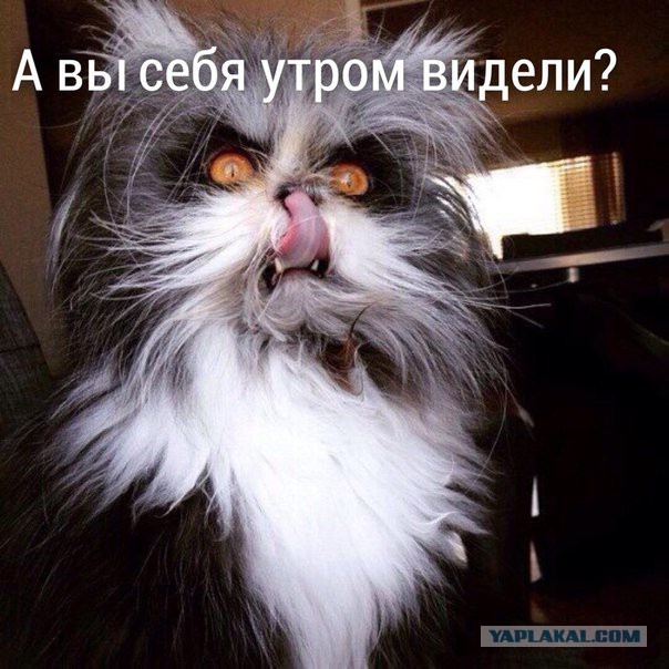 Смешные комментарии из социальных сетей 16.09.2016