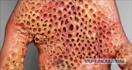Занимательные картинки.