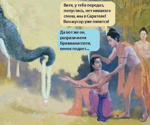 Смешные комментарии из социальных сетей 03.11.2016