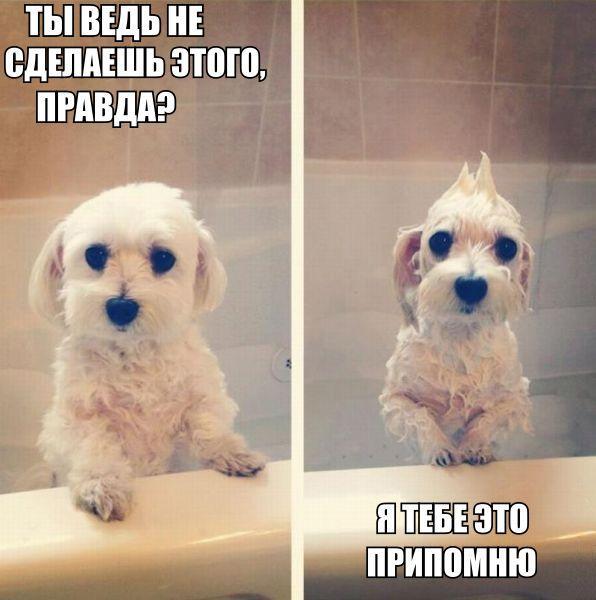 29 картинок